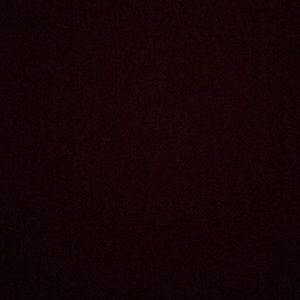 Meet your Posher, Rex